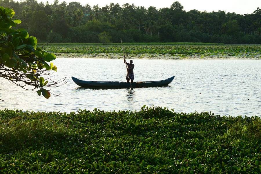 Thiruvananthapuram_Vellayani_Lake_9