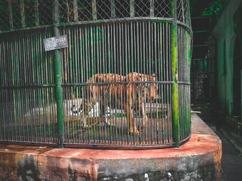 Thiruvananthapuram_Zoological_Park_Trivandrum_2