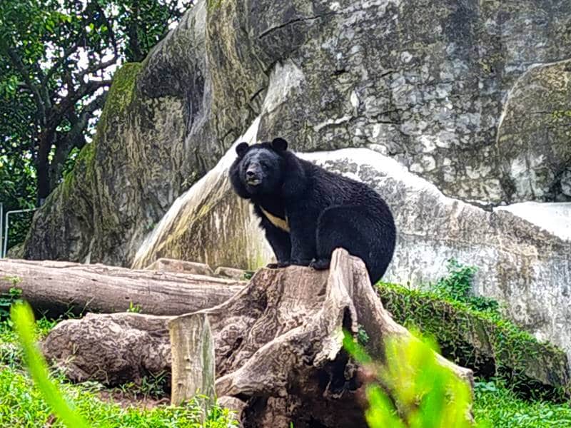 Thiruvananthapuram_Zoological_Park_Trivandrum_8