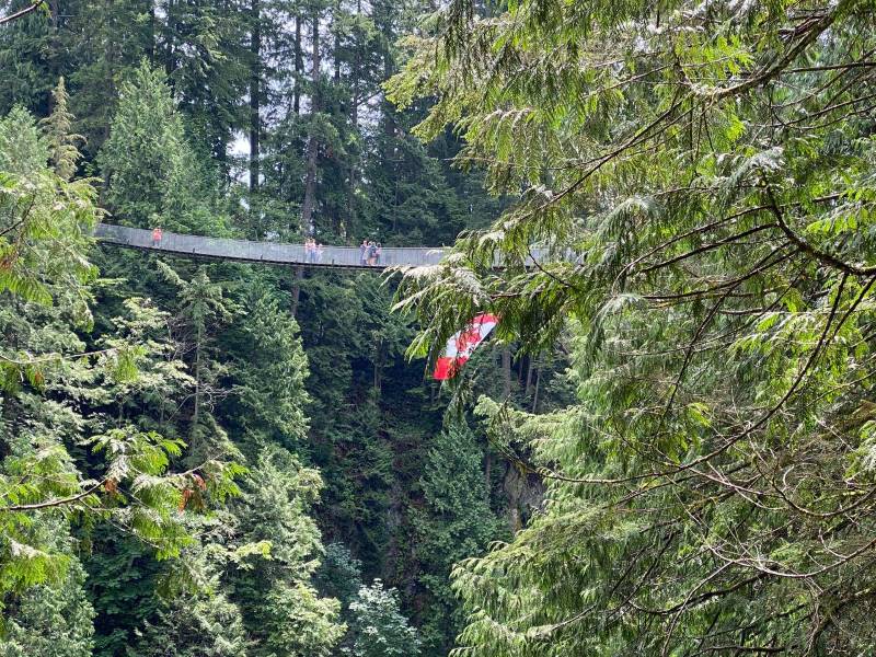 Vancouver_Capilano_Suspension_Bridge_2