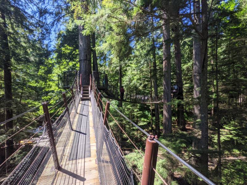 Vancouver_Capilano_Suspension_Bridge_3