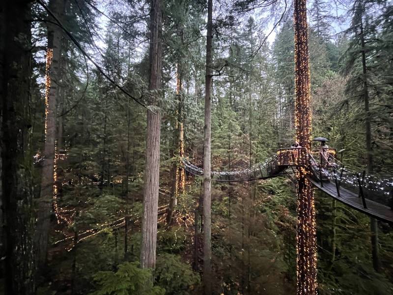 Vancouver_Capilano_Suspension_Bridge_4