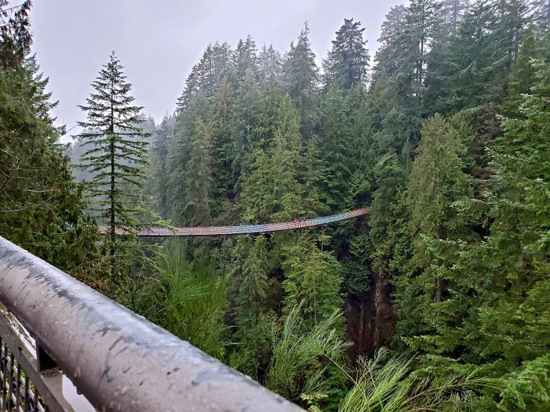Vancouver_Capilano_Suspension_Bridge_8