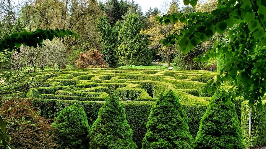 Vancouver_VanDusen_Botanical_Garden_1