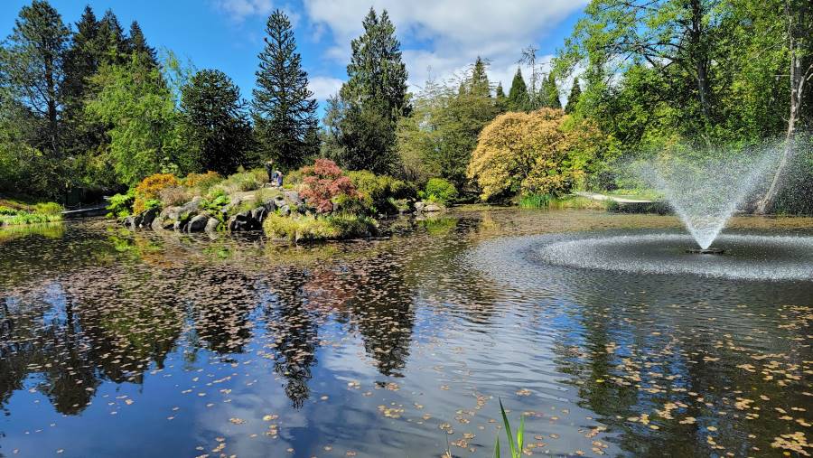 Vancouver_VanDusen_Botanical_Garden_4