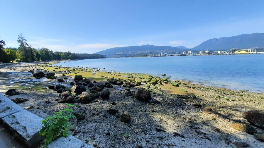 Vancouver_Vancouver_Seawall_7