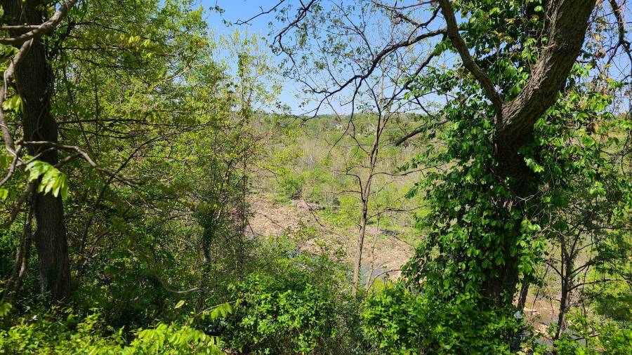 Washington_DC_Columbia_River_Gorge_National_Scenic_Area_4