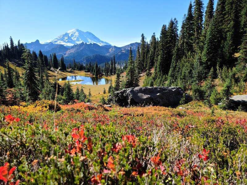 Washington_DC_Mount_Rainier_National_Park_2
