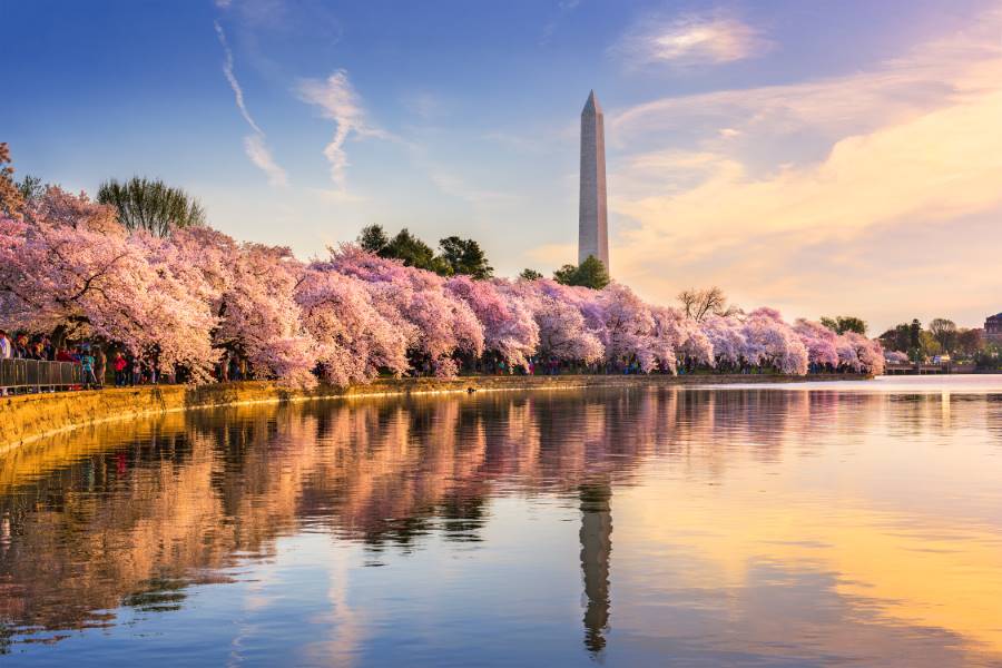 Washington_DC_Potomac_River_SS_2
