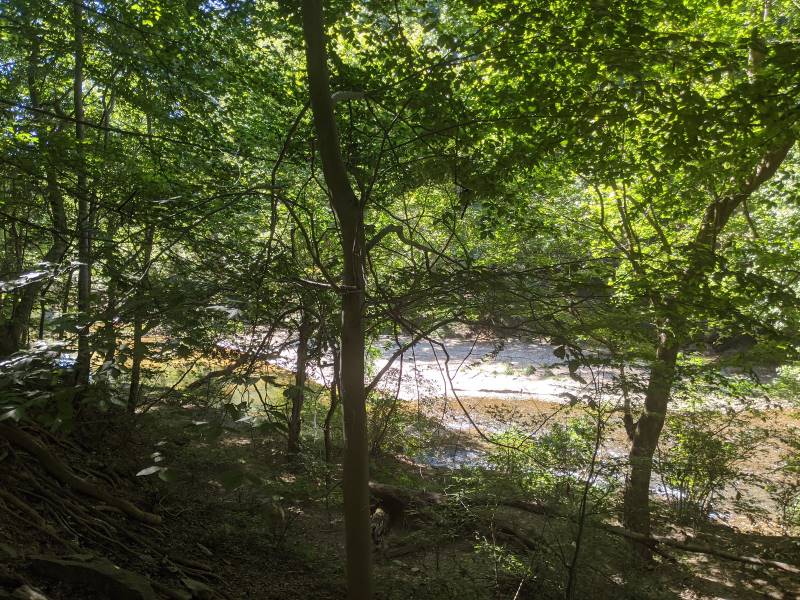 Washington_DC_Rock_Creek_3