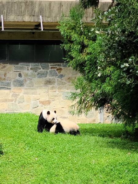 Washington_DC_Woodland_Park_Zoo_2