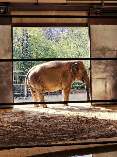 Washington_DC_Woodland_Park_Zoo_4