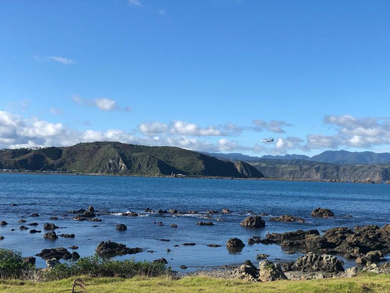 Wellington_Island_Bay_5
