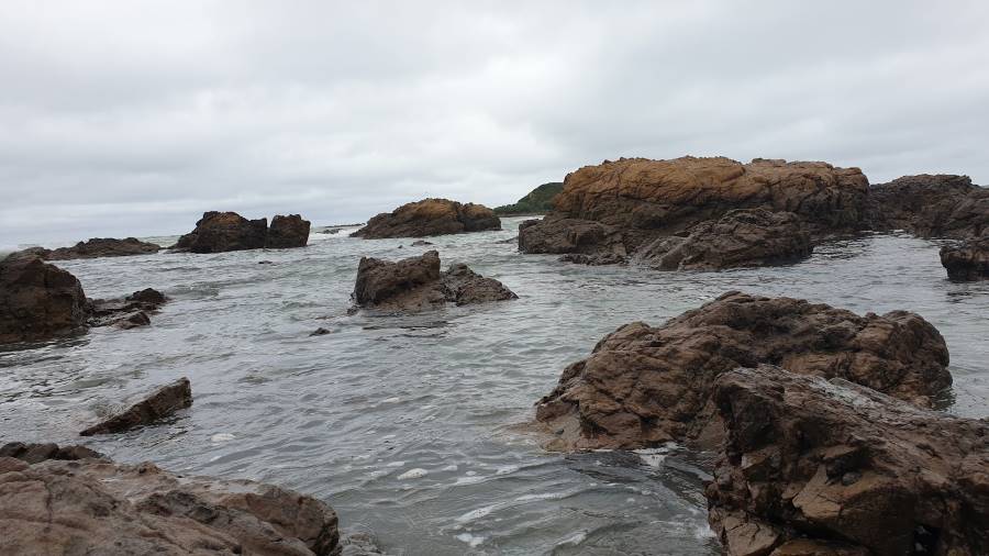 Wellington_Island_Bay_6
