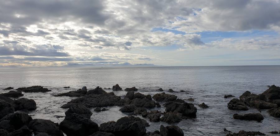 Wellington_Makara_Beach_2