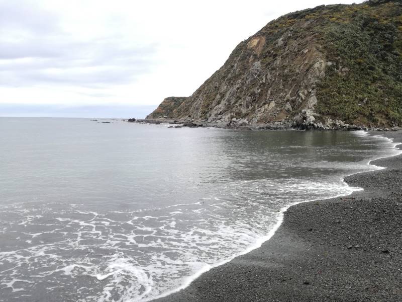 Wellington_Makara_Beach_6