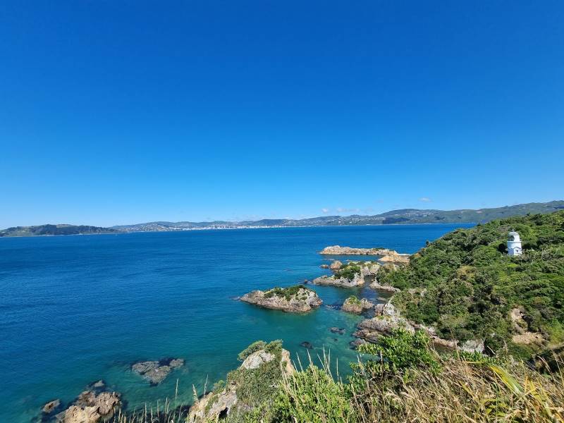 Wellington_Matiu_Somes_Island_1