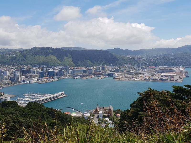 Wellington_Mount_Victoria_6