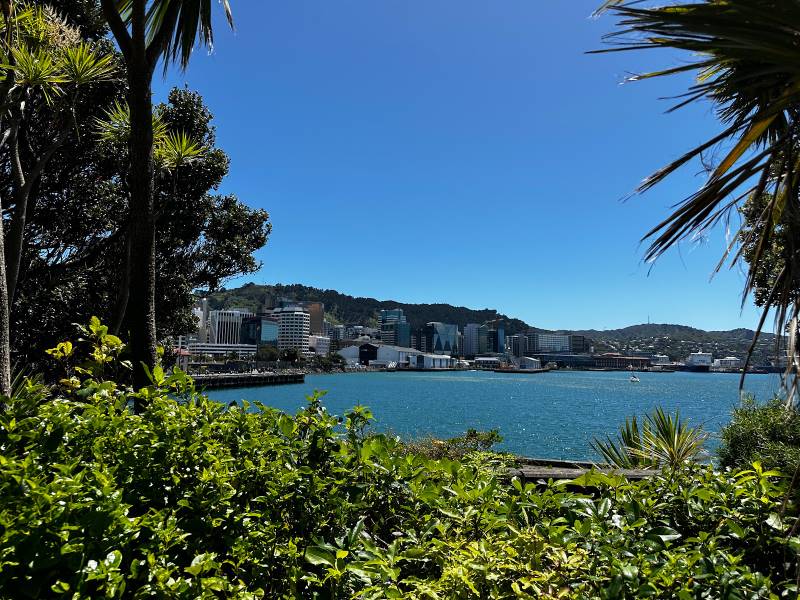 Wellington_Museum_of_New_Zealand_Te_Papa_Tongarewa_5