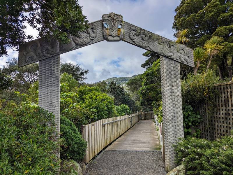 Wellington_Otari_Wilton's_Bush_9