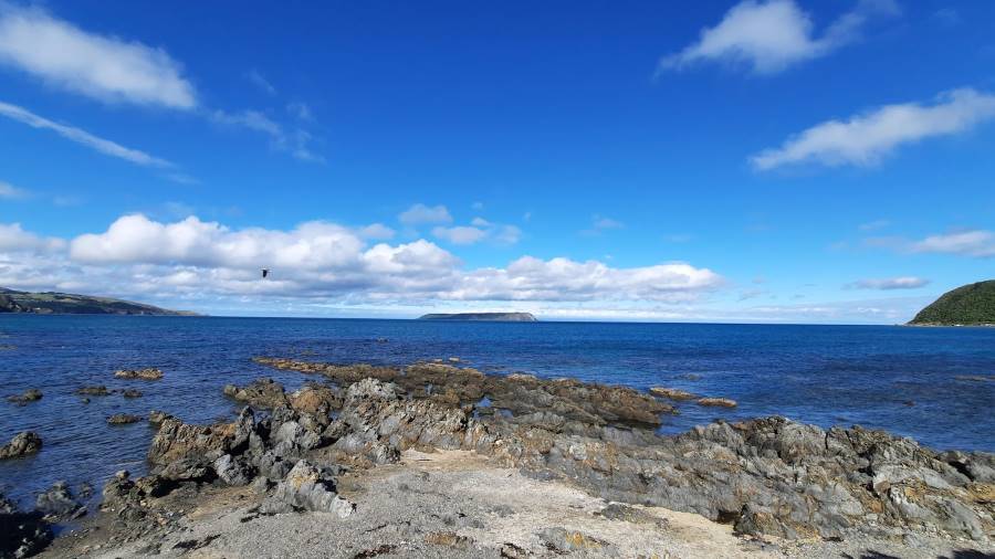 Wellington_Plimmerton_Beach_8