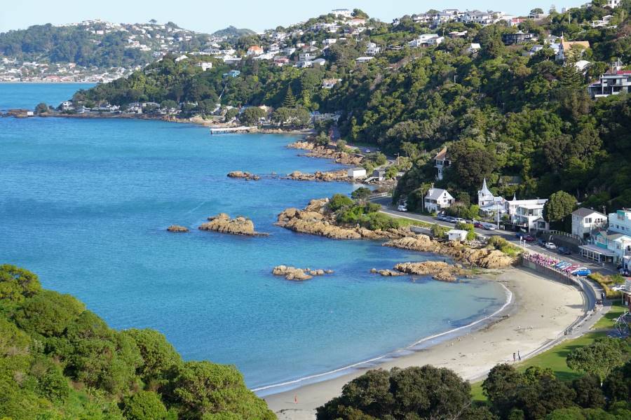 Wellington_Scorching_Bay_Beach_1