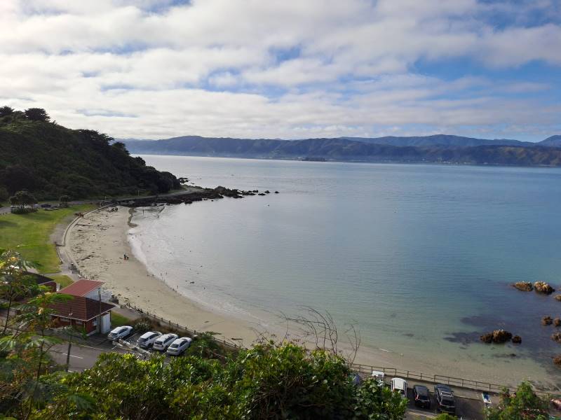 Wellington_Scorching_Bay_Beach_4