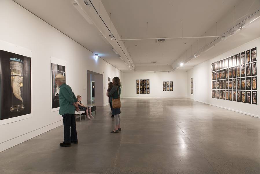 Wellington_The_Dowse_Art_Museum_3