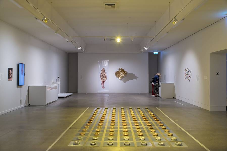 Wellington_The_Dowse_Art_Museum_4
