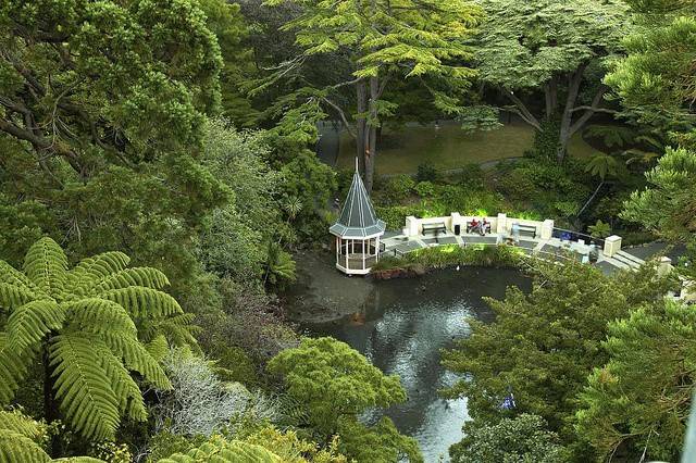 Wellington_Wellington_Botanic_Garden_2
