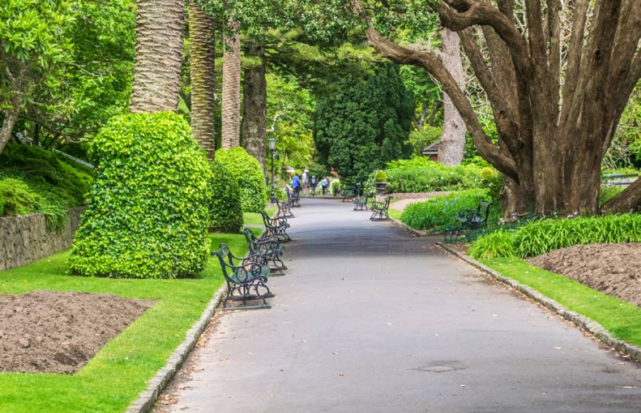 Wellington_Wellington_Botanic_Garden_4