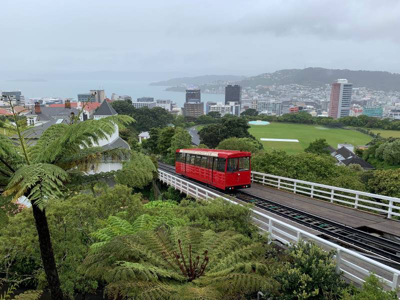 Wellington_Wellington_Botanic_Garden_8