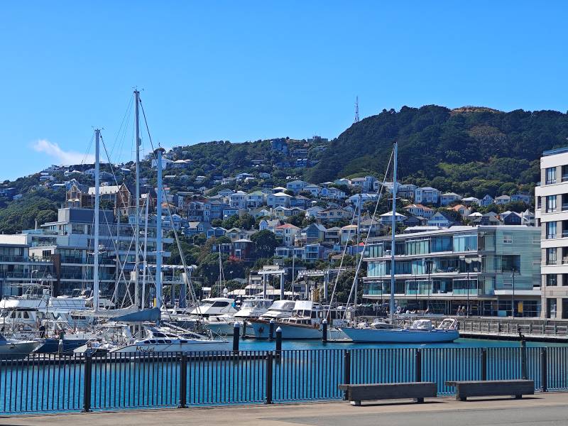 Wellington_Wellington_Harbour_2