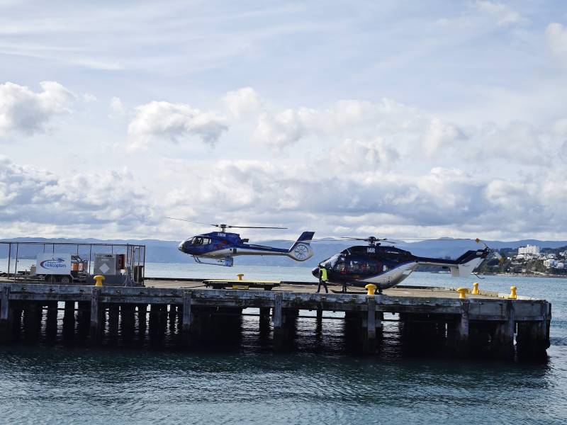 Wellington_Wellington_Harbour_8