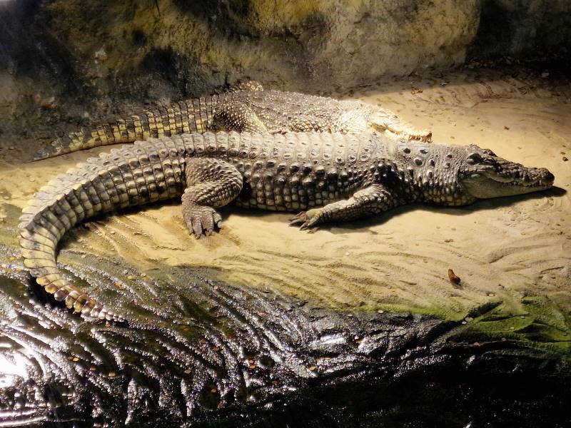 Zagreb_Maksimir_Park_and_City_Zoo_3