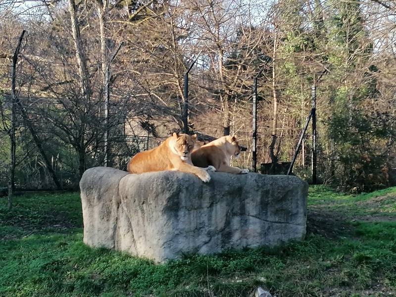 Zagreb_Maksimir_Park_and_City_Zoo_4