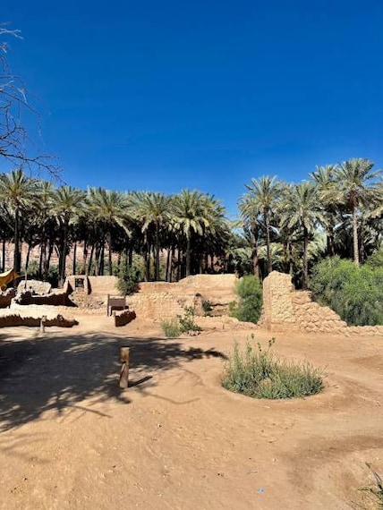 Al_Ula_The_AlUla_Oasis_1