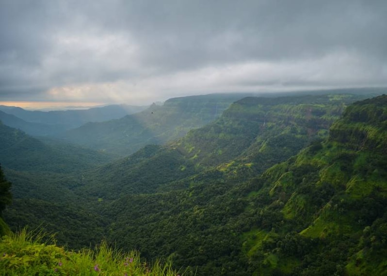 Amboli_Amboli_Forest_Park_4