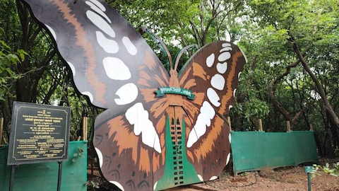 Amboli Forest Park