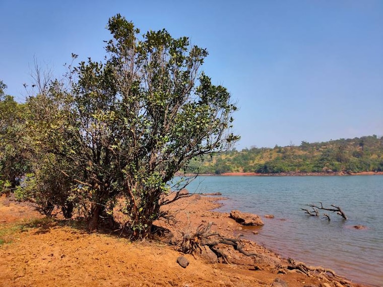 Amboli_Amboli_Ghat_7