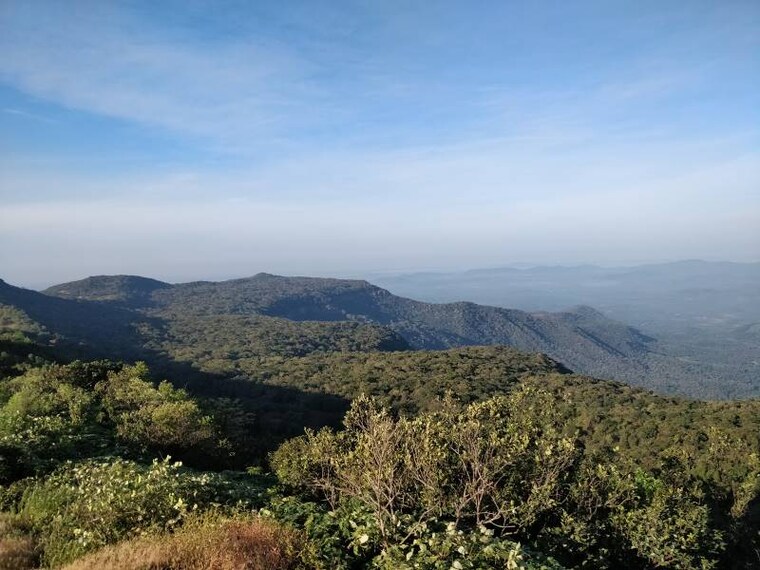 Amboli_Shirgaonkar_Point_1