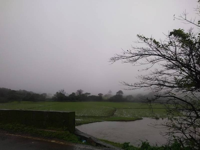 Amboli_Shirgaonkar_Point_2