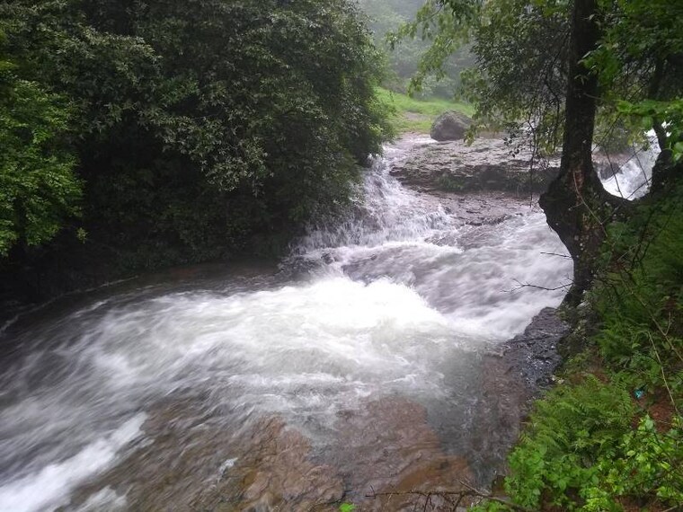 Amboli_Shirgaonkar_Point_3
