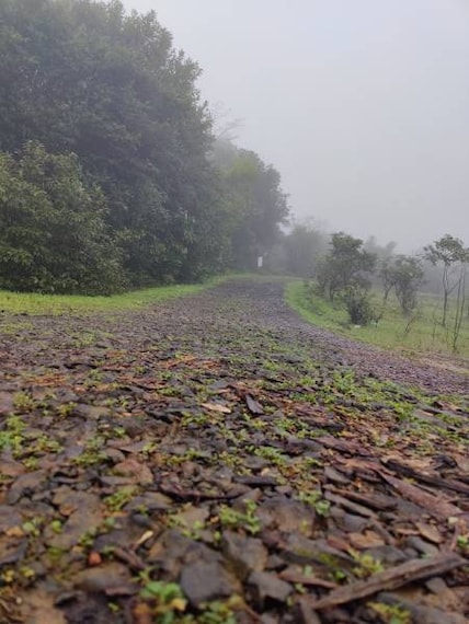 Amboli_Silver_Spring_Resort_10