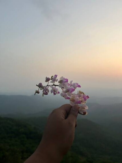 Amboli_Sunset_Point_Amboli_3