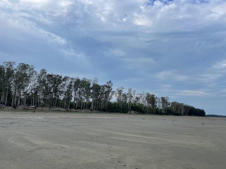 Balasore_Chandipur_Beach_5