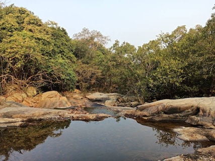 Kuldiha Wildlife Sanctuary