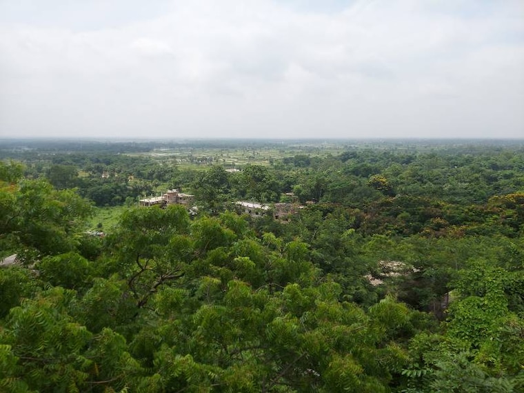 Balasore_Panchalingeswar_Temple_5