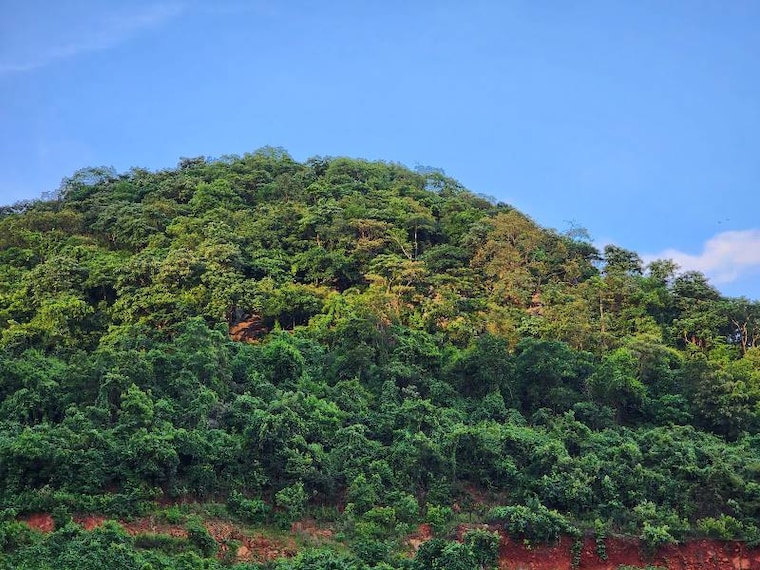 Balasore_Sari_Sua_Waterfalls_6