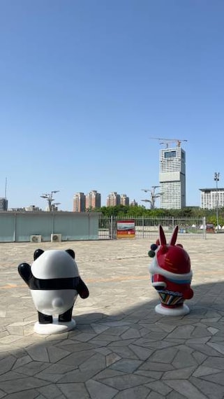 Beijing_Beijing_National_Stadium_10